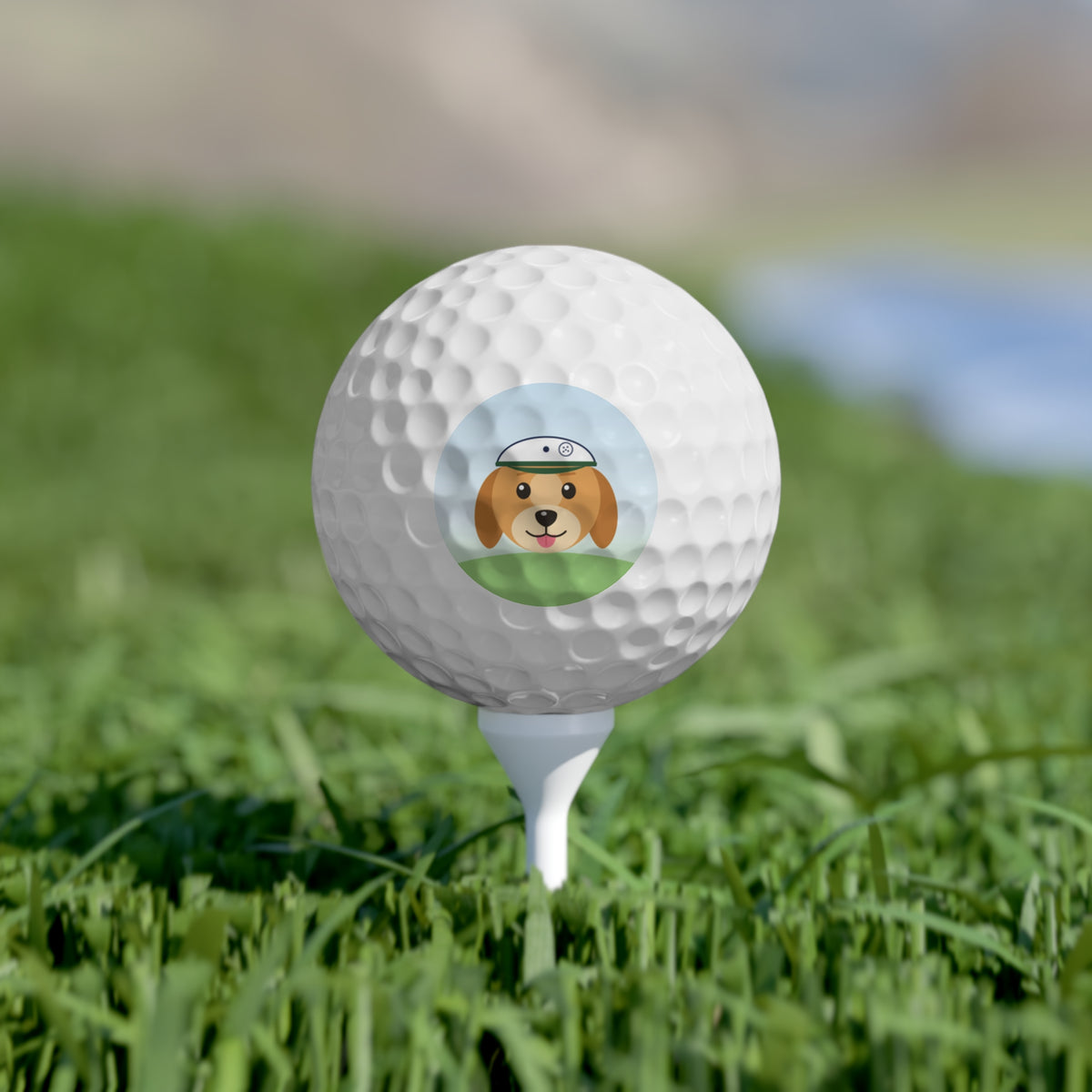 Custom photo golf ball on a display stand, a funny golf gift